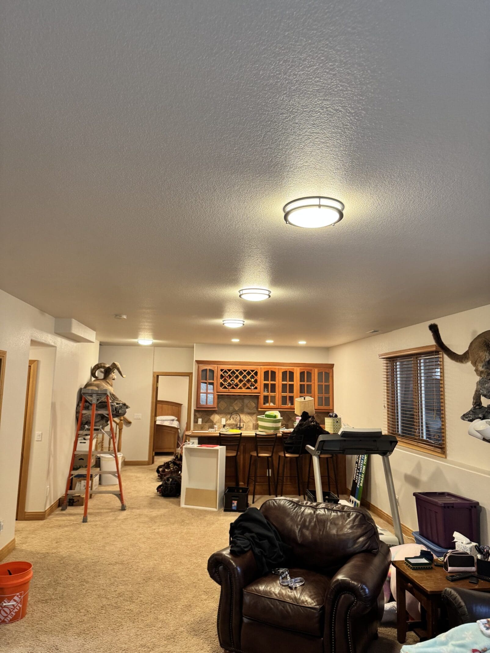 Basement Lighting in Monument, Colorado